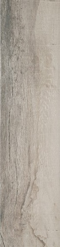 Saloon Grey