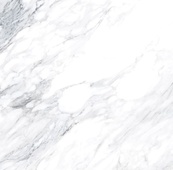 Dante Blanco Polished